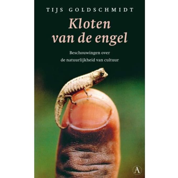 Kloten Van De Engel - T. Goldschmidt