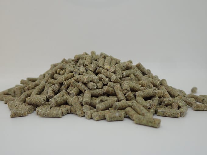 BoGi Voeders 023 Legkorrel - 20 kg- kippenvoer