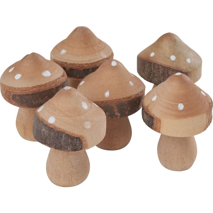 VBS Paddenstoelen