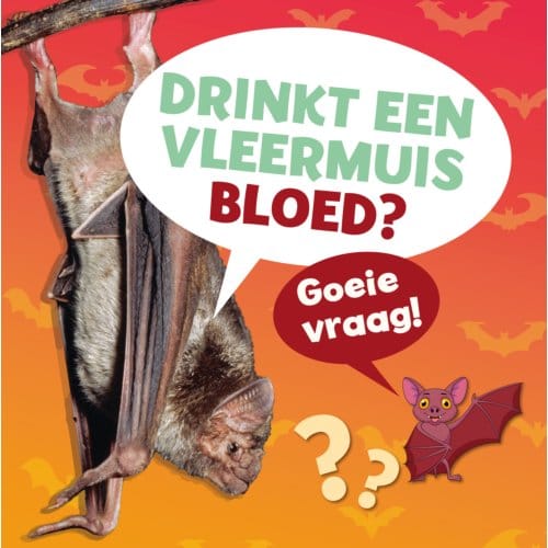 Drinkt Een Vleermuis Bloed? - Goeie Vraag! - Ellen Labrecque