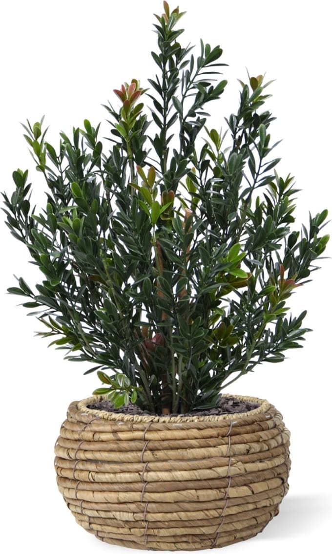 Kunst Buxus Haagplant 50cm Groen/rood