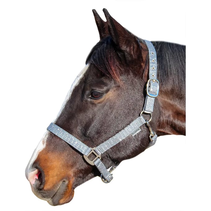 Halster voor paarden Canter Malibu
