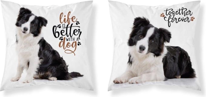 Bordercollie Hond Sierkussen kussen 40x40cm incl vulling