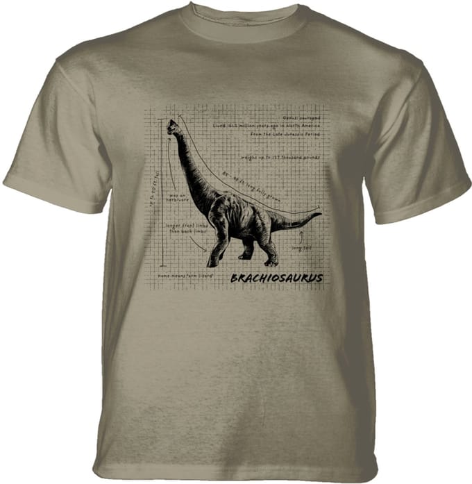 T-shirt Brachiosaurus Fact Sheet Beige KIDS M