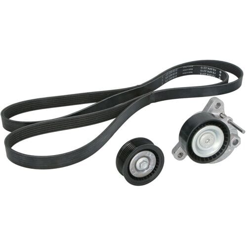 Schaeffler Ina V-snaar set (met rollen) INA 529 0499 10