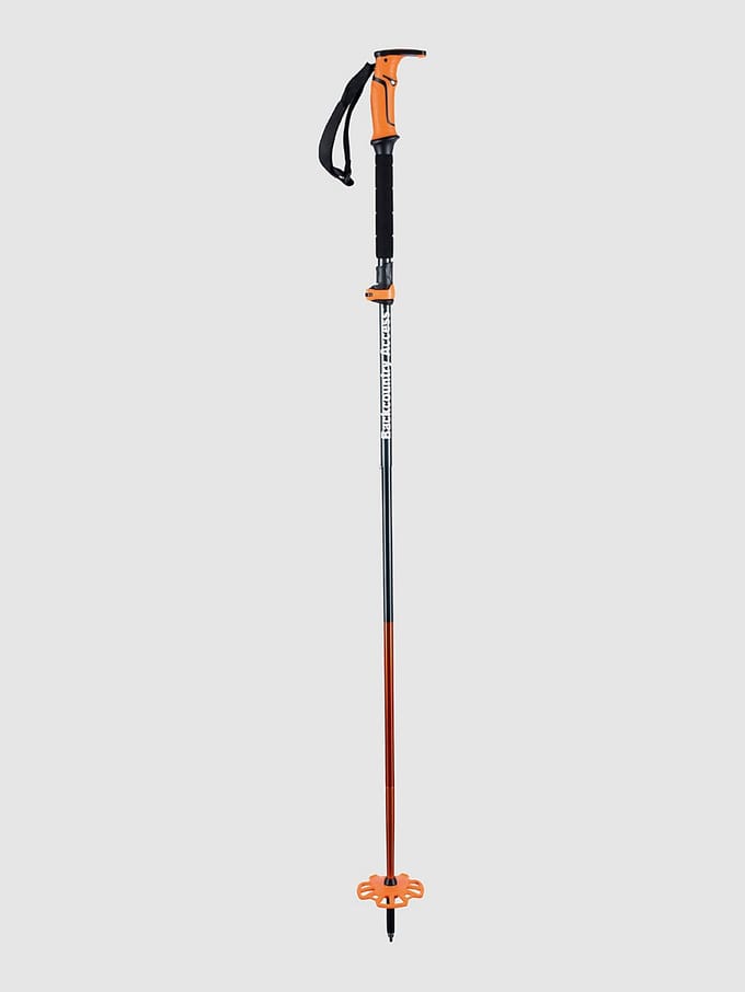 BCA Scepter 4S Ski Stokken zwart