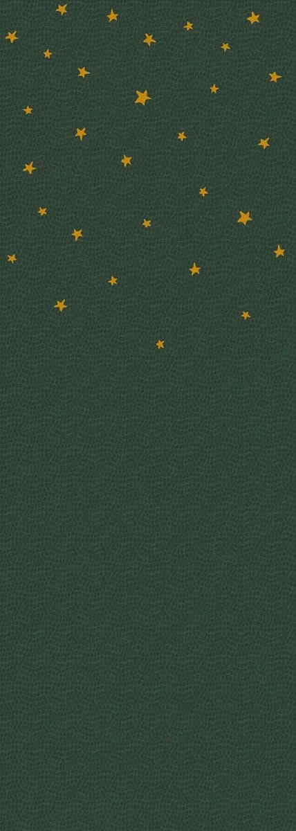 Sam & Luca - Dino nights uni dots forest green