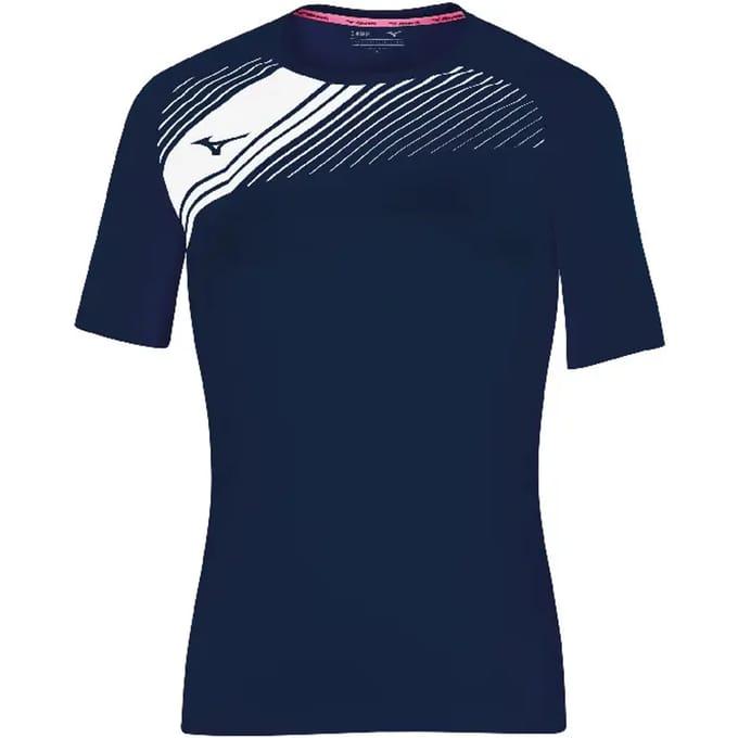 Damestrui Mizuno Team Iwata Game