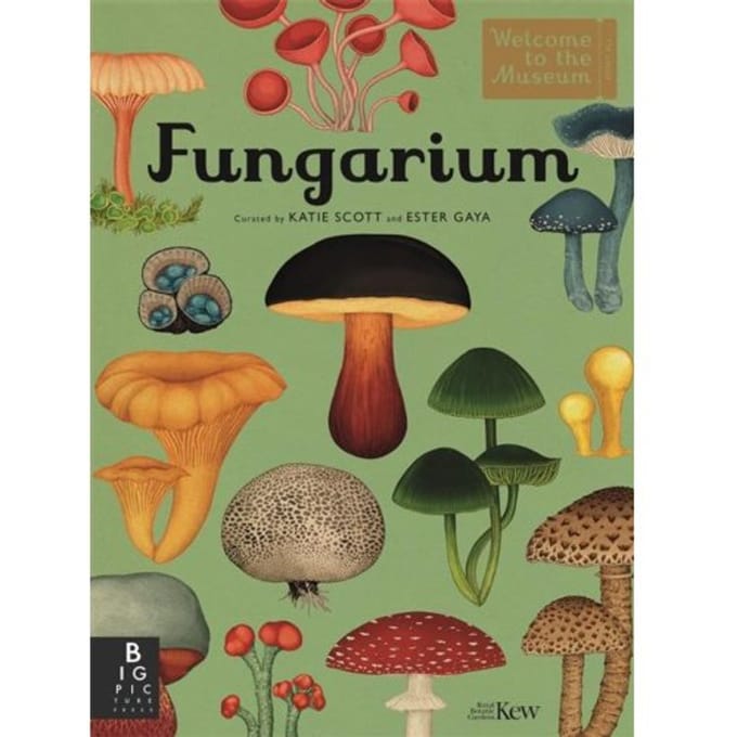 Fungarium - Welcome To The Museum - Royal Botanic Gardens Kew PLG