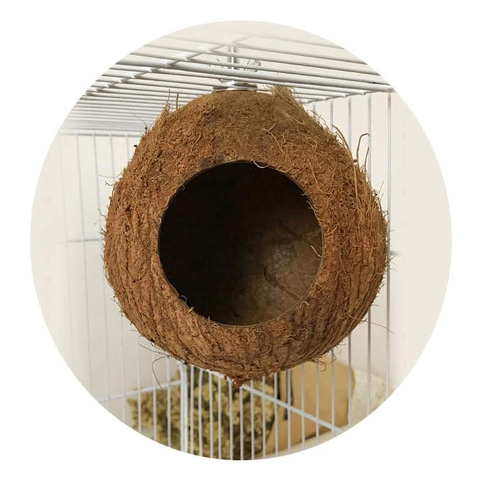Huisdier Papegaai Nest Natuurlijke Kokosnootschaal Huis Kooi Voeder Parkiet Vogels Hamster Speelgoed black