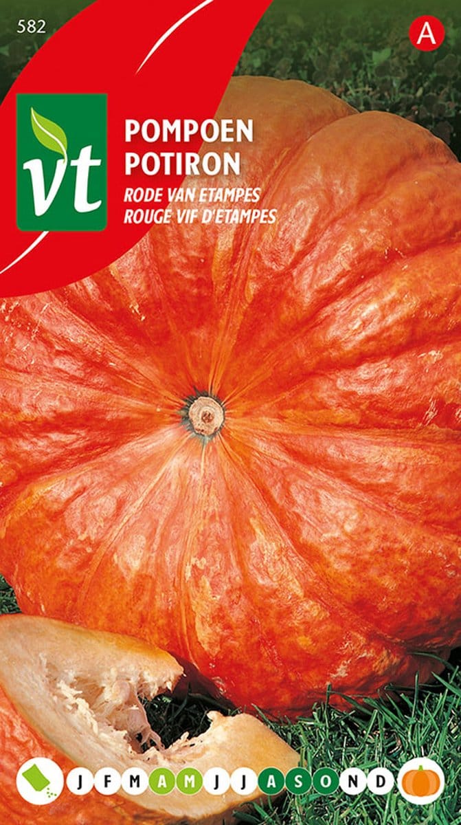 Pompoen Rode van Etampes Zaden - Grote, Geribde Oranje-Rode Franse Pompoen