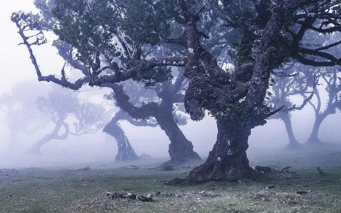 Fotobehang - Ghost Line 400x250cm - Vliesbehang