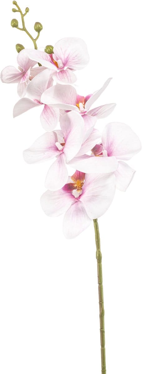 Emerald - Kunstbloem Phalaenopsis roze 84cm - Kunstplant voor binnen