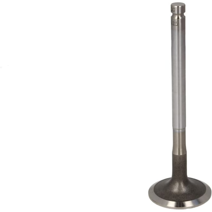 Uitlaatklep TRW 105-35625