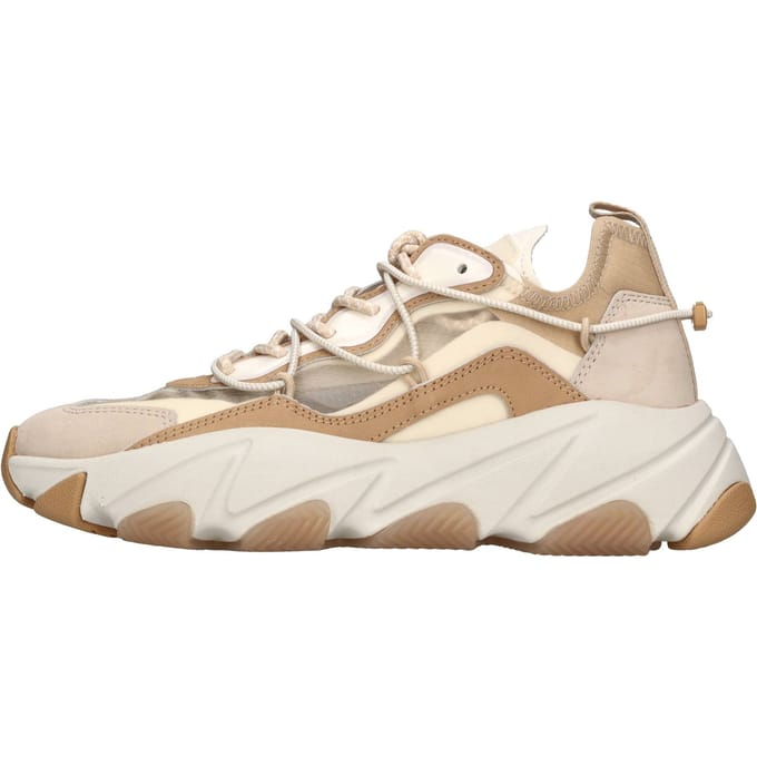 Ash Sneakers bruin