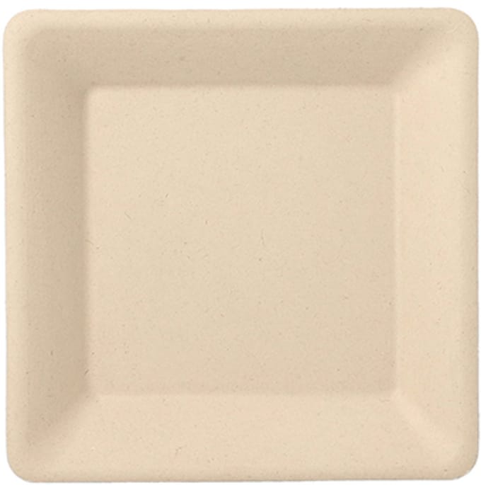 50 Borden van suikerriet pure hoekig 15,5 cm x 15,5 cm natuur