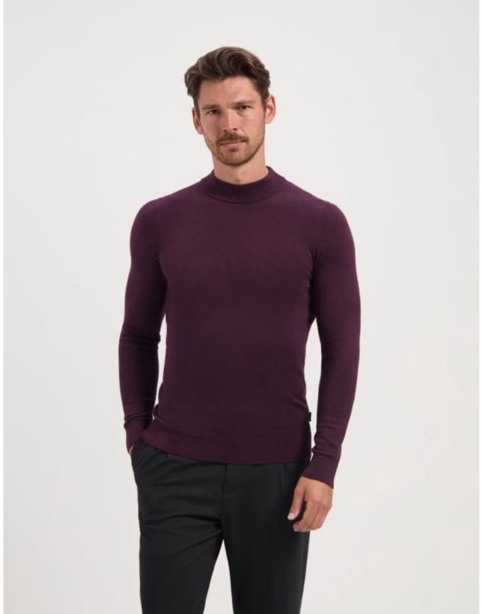Heren pull saint steve
