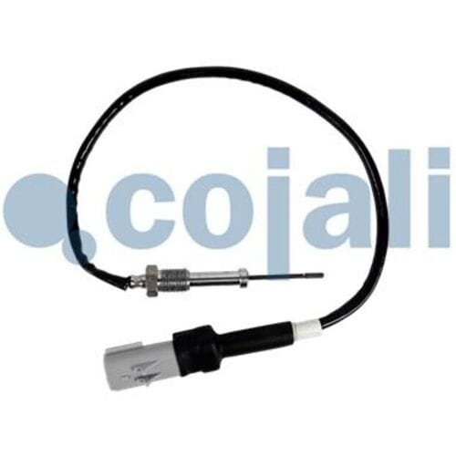 Uitlaatgastemperatuursensor COJALI 2262006COJ