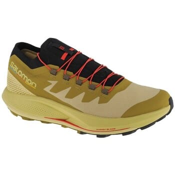 Wandelschoenen Salomon Pulsar Trailpro