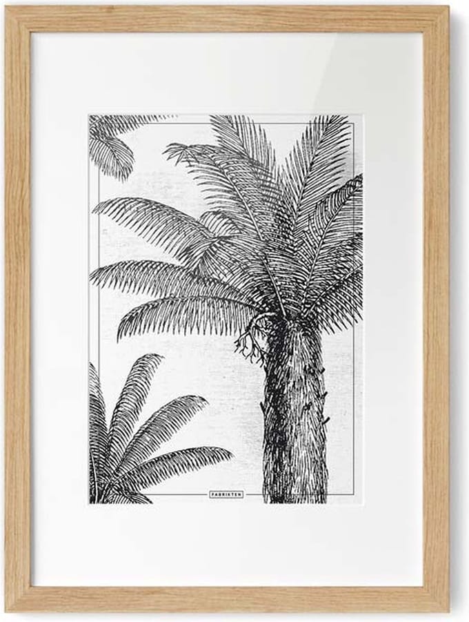 Fabrikten Poster Kokospalm - Zwart/Wit - A4