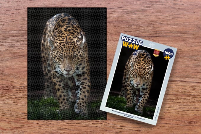 Puzzel Jaguar - Zwart - Gras - Legpuzzel - Puzzel 1000 stukjes volwassenen