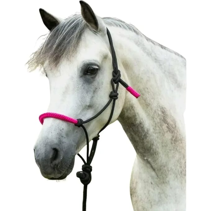 Halster voor paarden Norton Fun colour