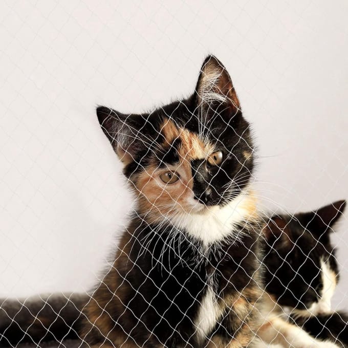Kattennet - Kattengaas - Kattennet Balkon - Katten Net - Katten Gaas