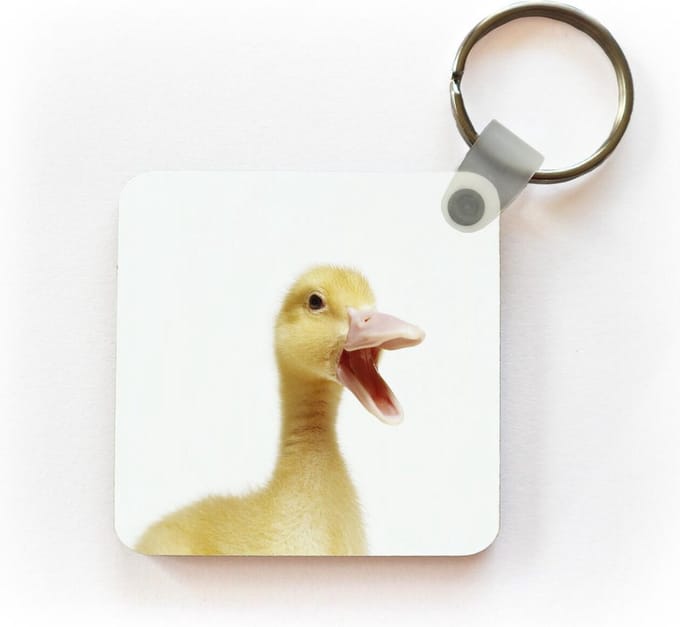 Sleutelhanger - Uitdeelcadeautjes - Portret van een baby eend - Plastic