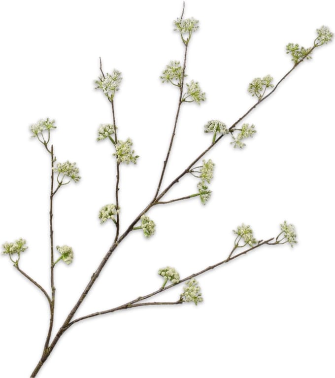 Silk-ka Kunstbloem-Zijden Bloem Dille Tak Crème Lime Groen 115 cm