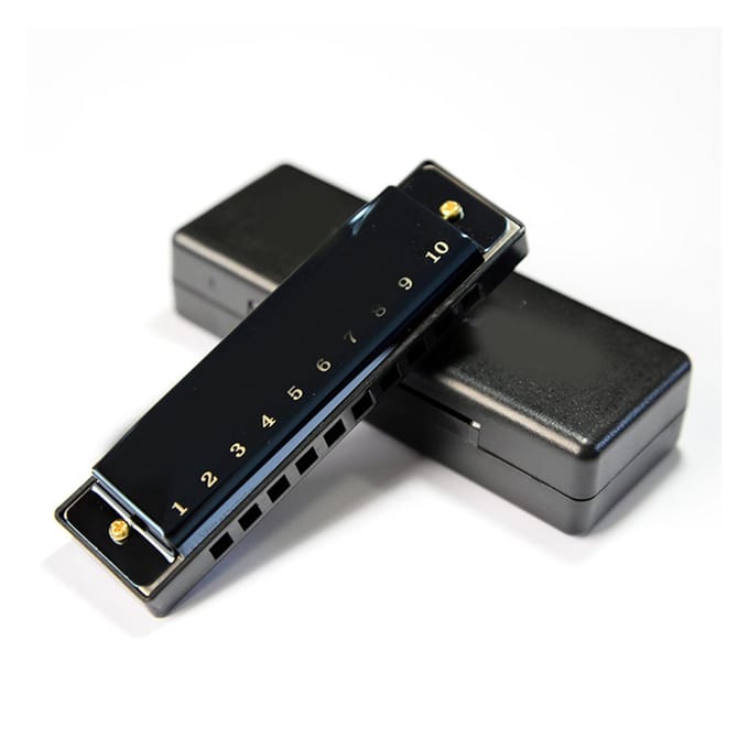 Harmonica 10 Trous Noir Brillant Léger Pratique Gamme Complète pour la Performance black