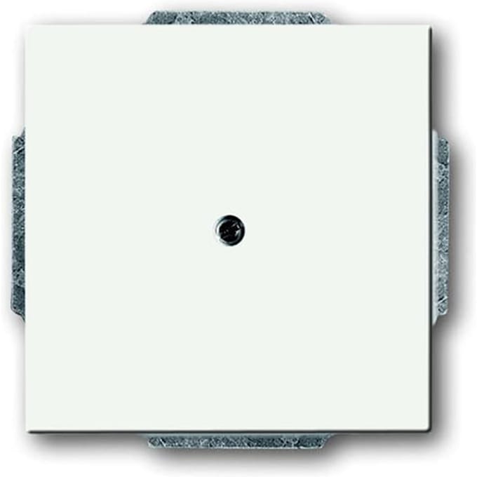 ABB Busch-Jaeger toekomstig Bedieningselement/Centrale Plaat Schakelmateriaal - 2CKA001710A3873 - E2Q9C