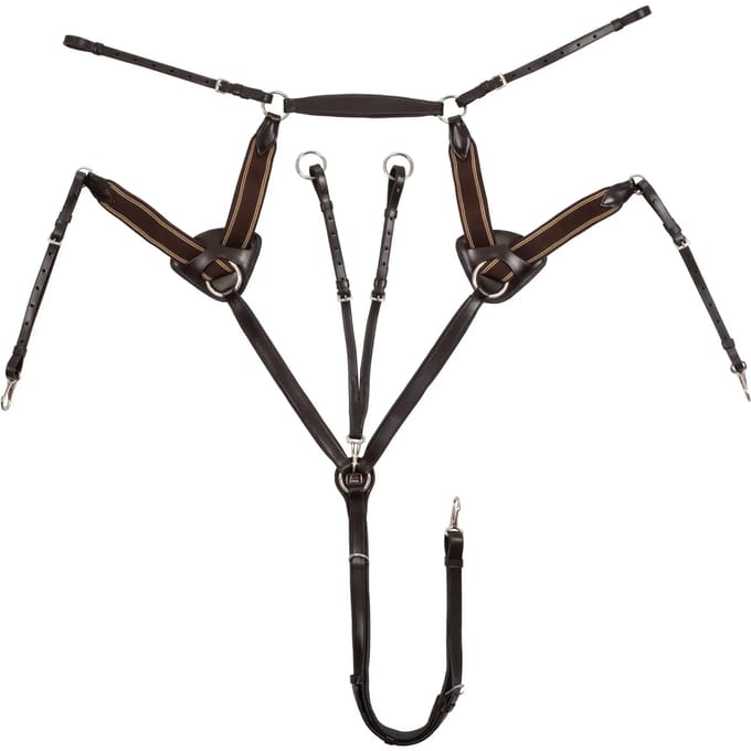 Vijfpunts halsband voor paard Supreme