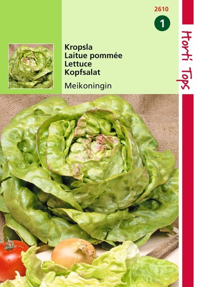 2 stuks - Hortitops - Kropsla Meikoningin