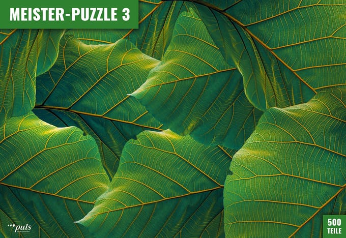 Puls puzzel MEISTER-puzzel 3: Bladeren - 500 stukjes legpuzzel.
