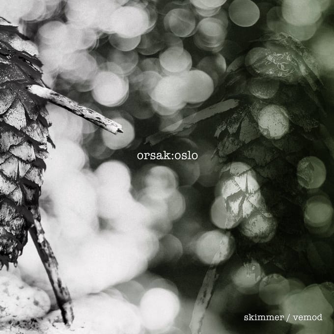 Orsak:Oslo - Skimmer / Vemod (LP)