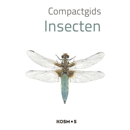 Compactgids Insecten - Compactgidsen Natuur