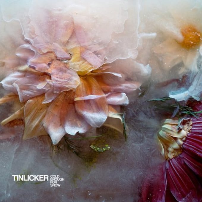 Cold Enough For Snow Mountain - Tinlicker