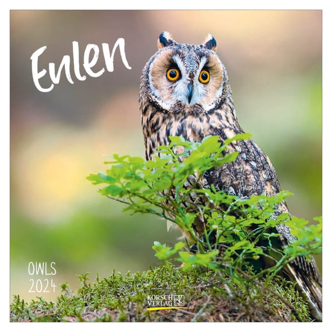 Uilen Kalender 2024