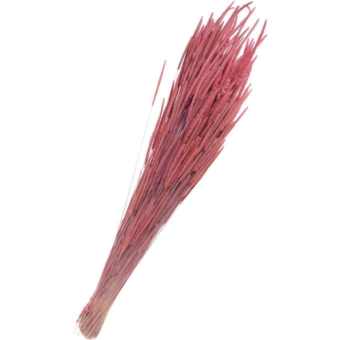 Gedroogde bloemen "Phleum Pratensis" - Roze