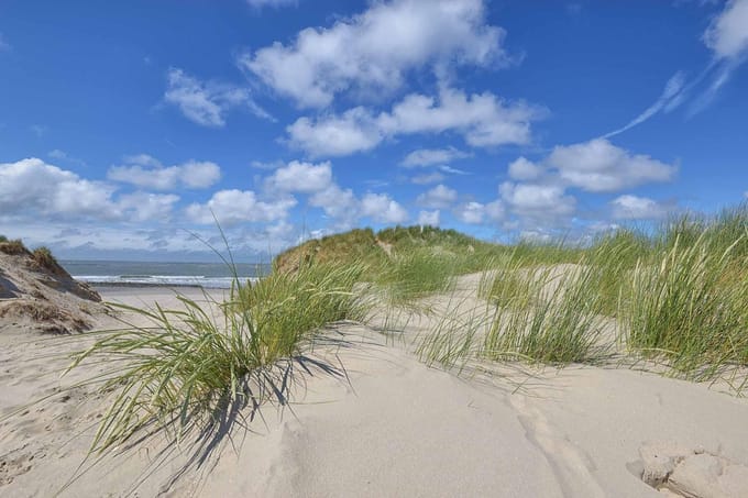 Fotobehang duinen en strand Ameland 450 x 260 cm - € 295,--