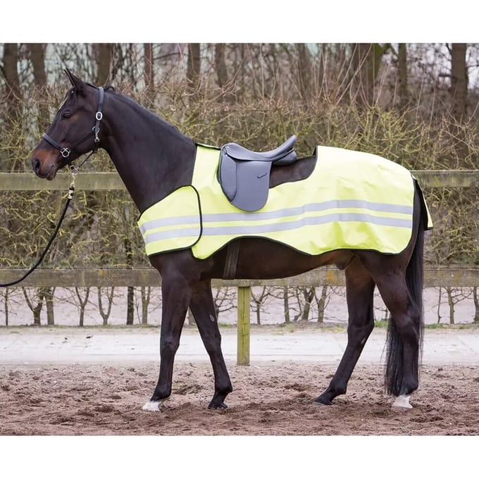 Reflecterende paardendeken Harry's Horse