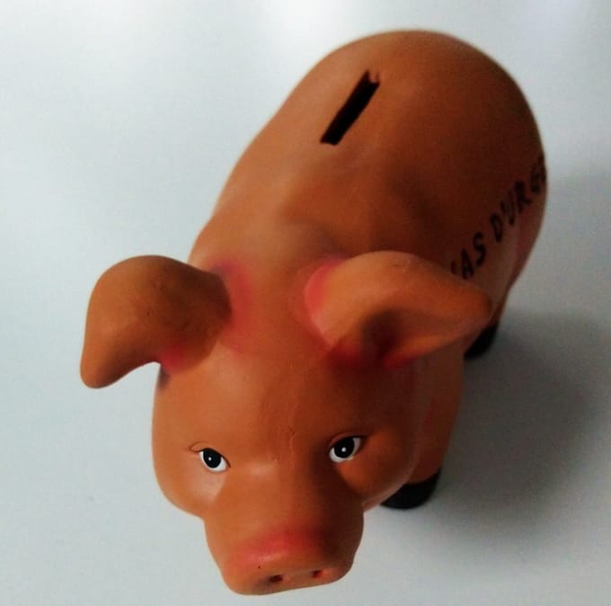 spaarvarken - tirelire cochon 21cm En cas d`urgence