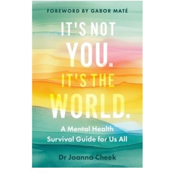 It's Not You, It's The World - Dr Joanna Cheek