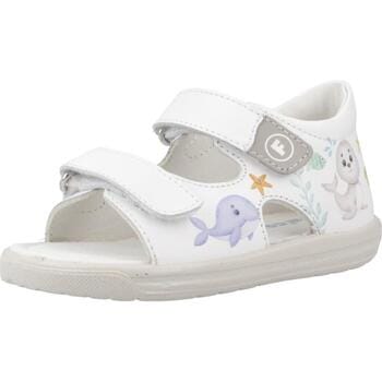 Platte sandalen Falcotto Nassho