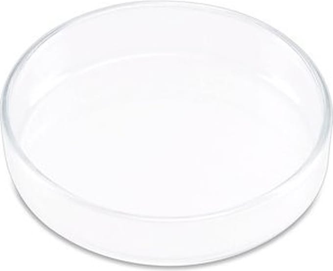 Voederschaal Vissen - Type nano - Doorsnee: 6 cm