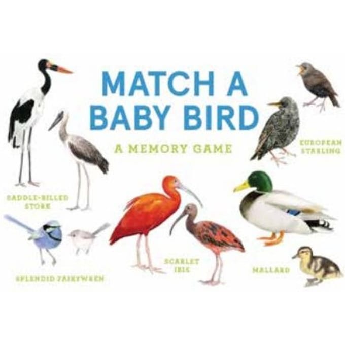 Match A Baby Bird - Unwin Mike
