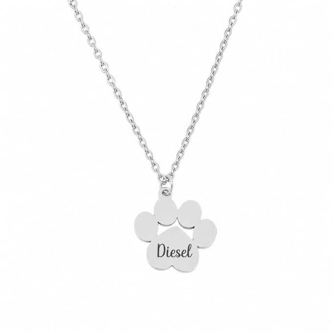 Ketting Hondenpoot met Naam Goud