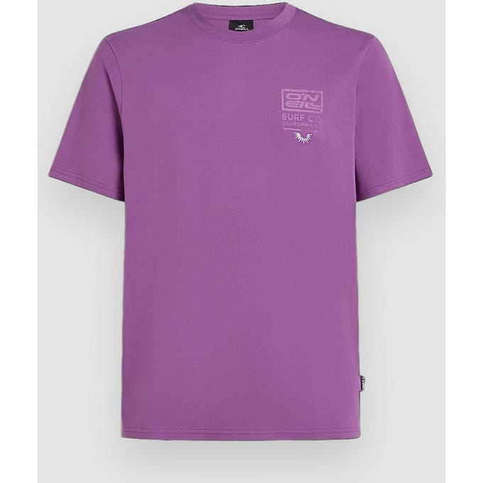 O'Neill Retro Graphic T-Shirt