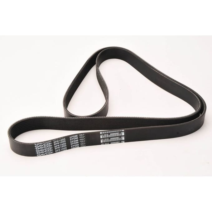 V-riem DAYCO 8PK1955HD