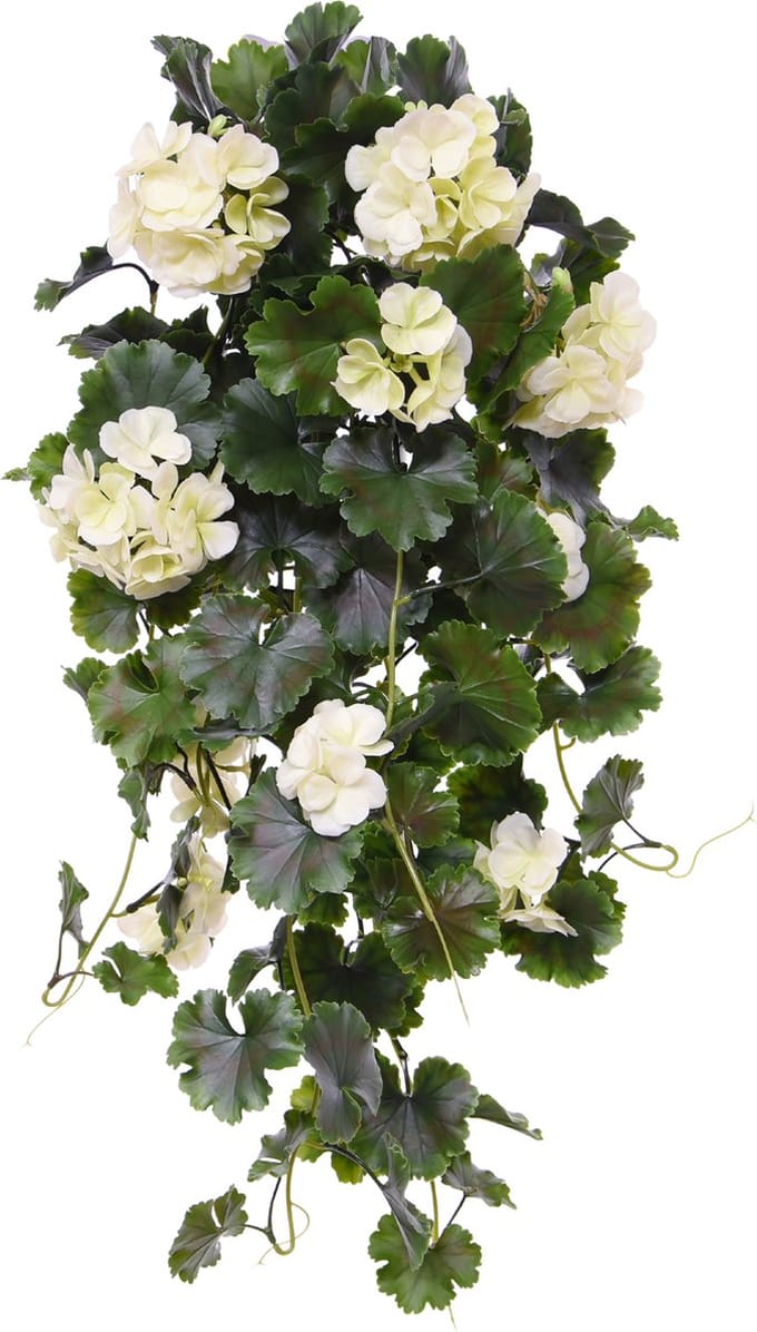 Kunst Hanggeranium 65cm UV Creme